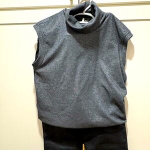 NWOT Banana Republic metallic sleeveless turtleneck